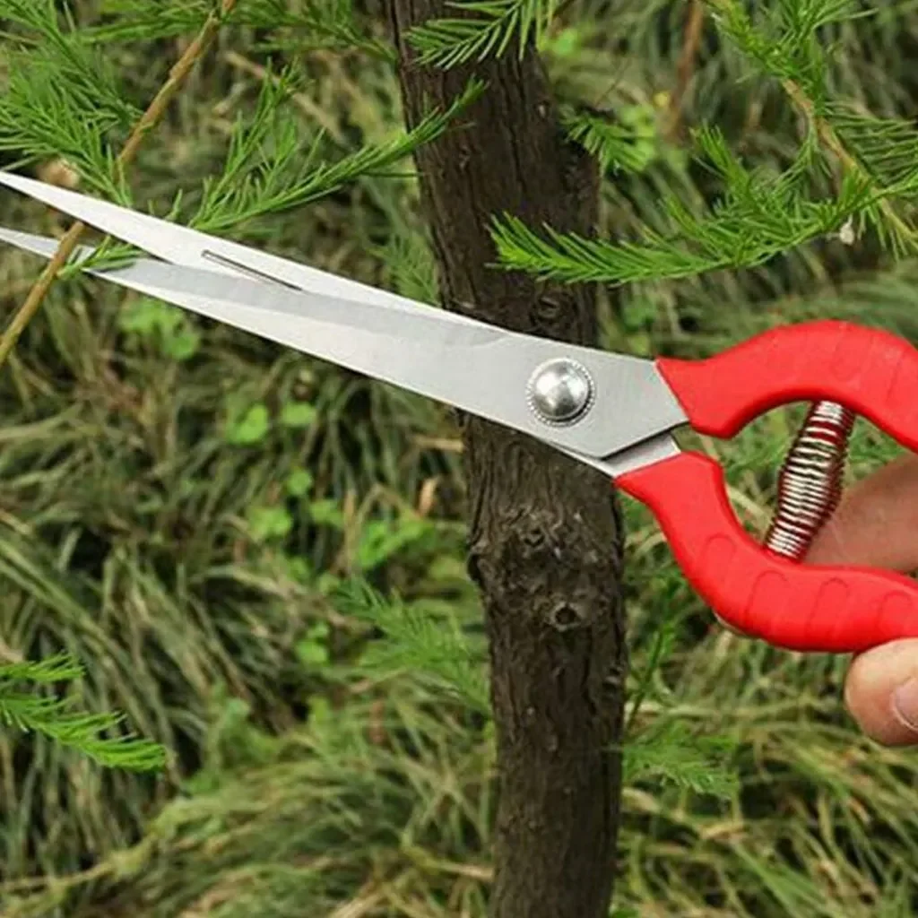 kitudaty Gartenschere Edelstahl mit gerader Klinge 96 mm für Blumen