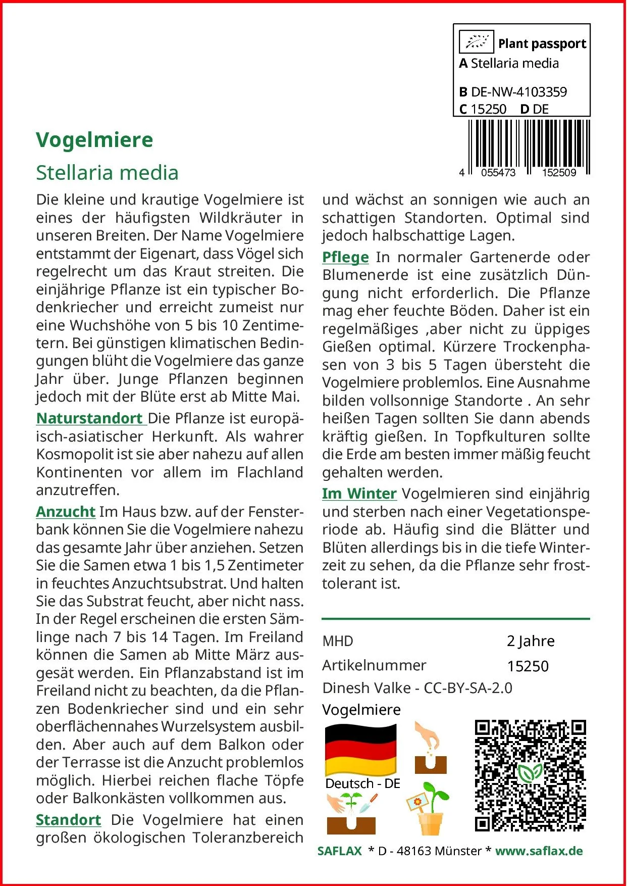 SAFLAX Vogelmiere Blumensamen