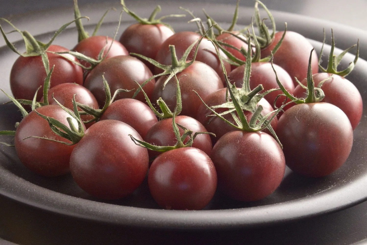 SAFLAX Bio Tomatensamen Black Cherry Cherrytomate