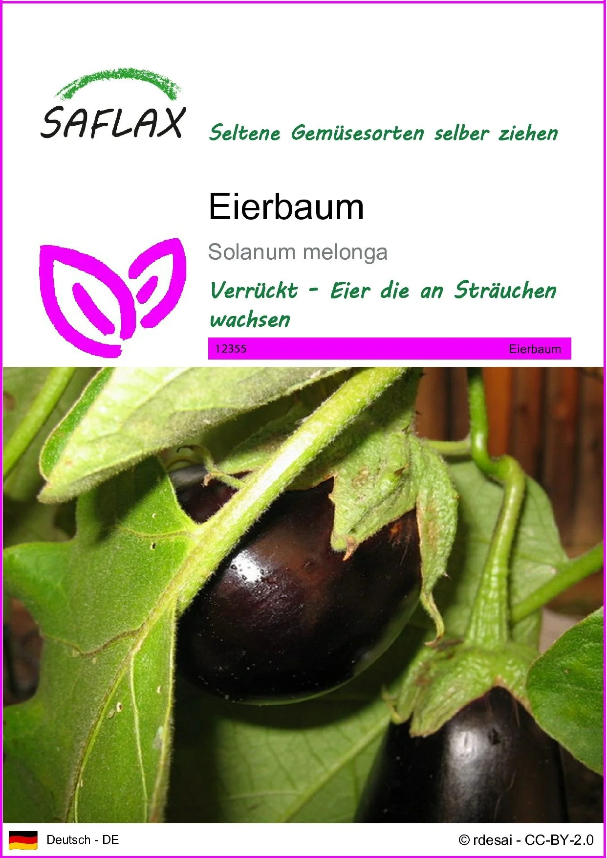 SAFLAX Eierbaum Gemüsesamen Solanum ovigerum