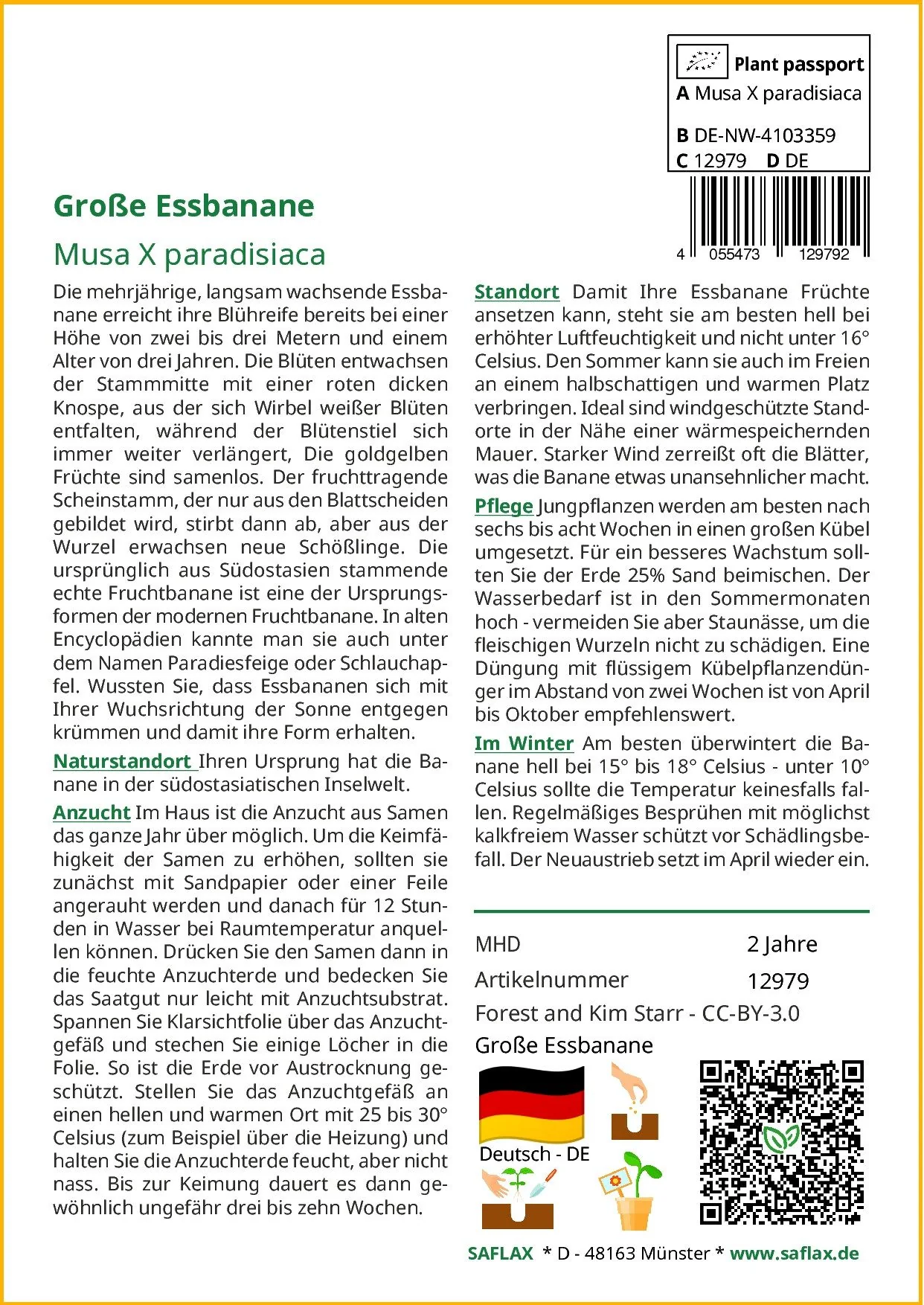 SAFLAX Samen Große Essbanane Musa Bananenpflanze