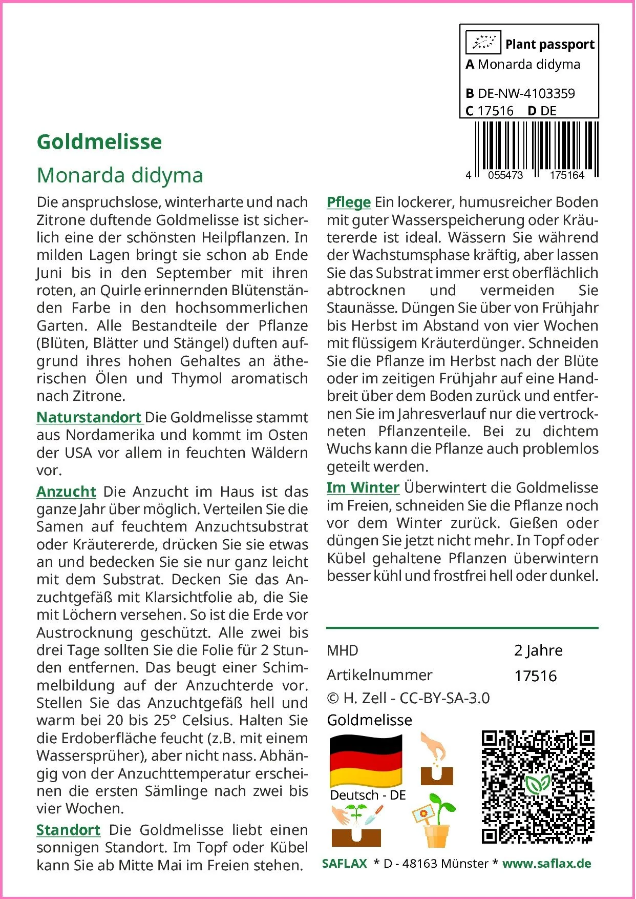 SAFLAX Goldmelisse Kräutersamen