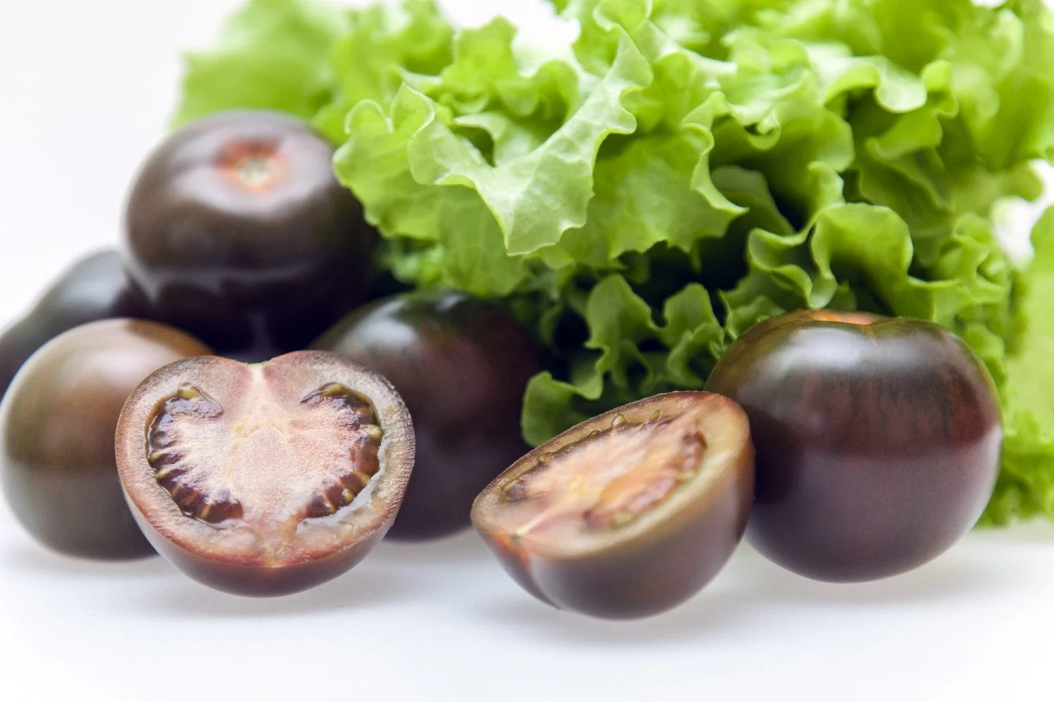 SAFLAX Bio Tomatensamen Black Cherry Cherrytomate