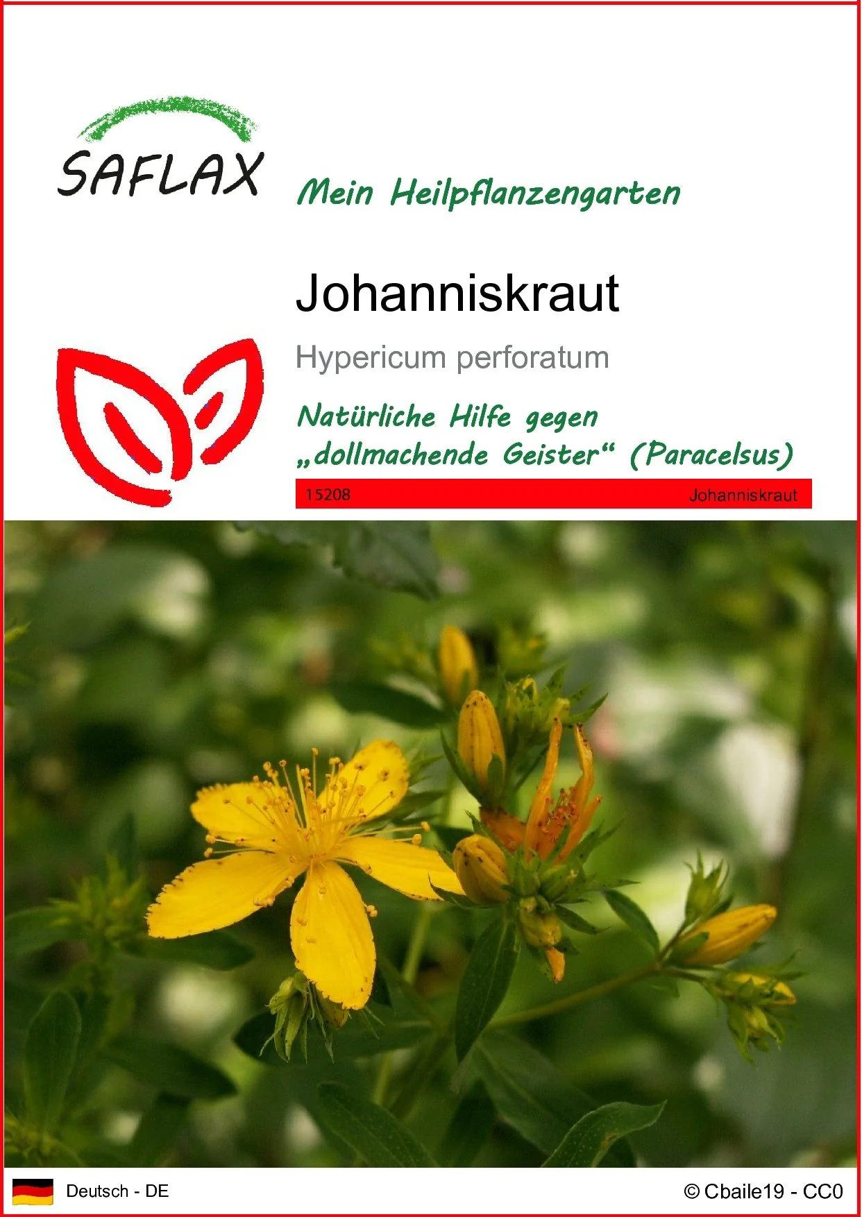 SAFLAX Johanniskraut Samen Blumensamen
