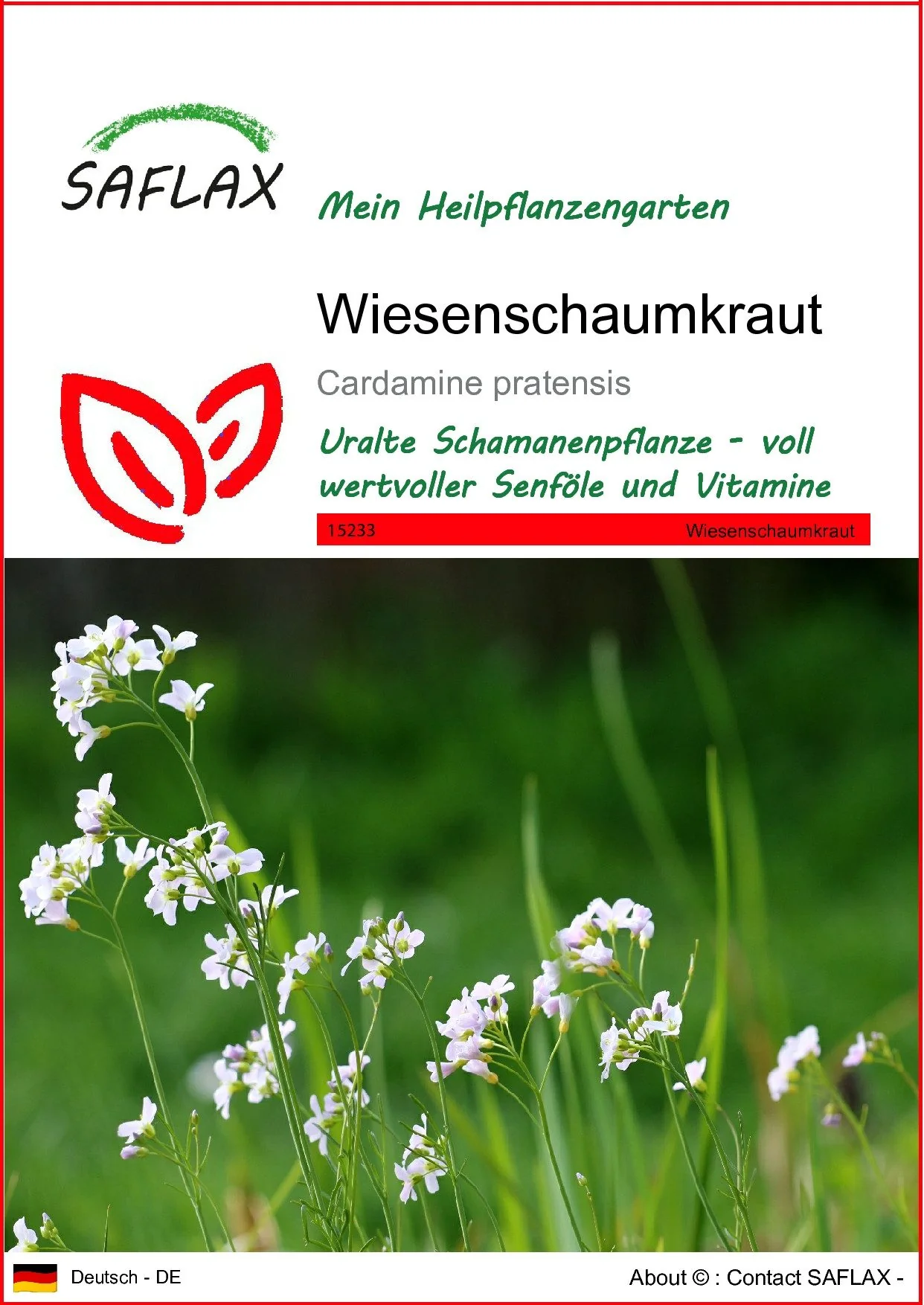 SAFLAX Wiesenschaumkraut Blumensamen