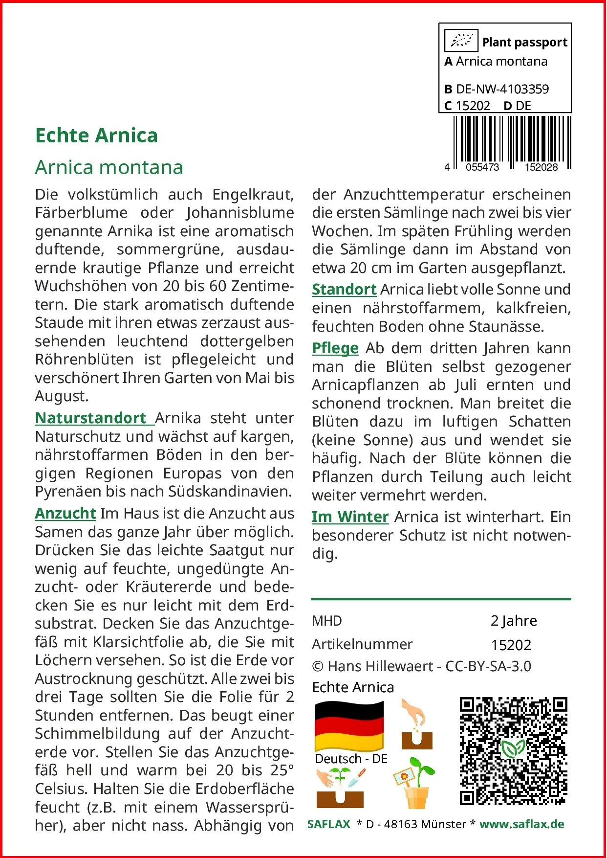 SAFLAX Echte Arnika Samen Arnica montana Blumensamen