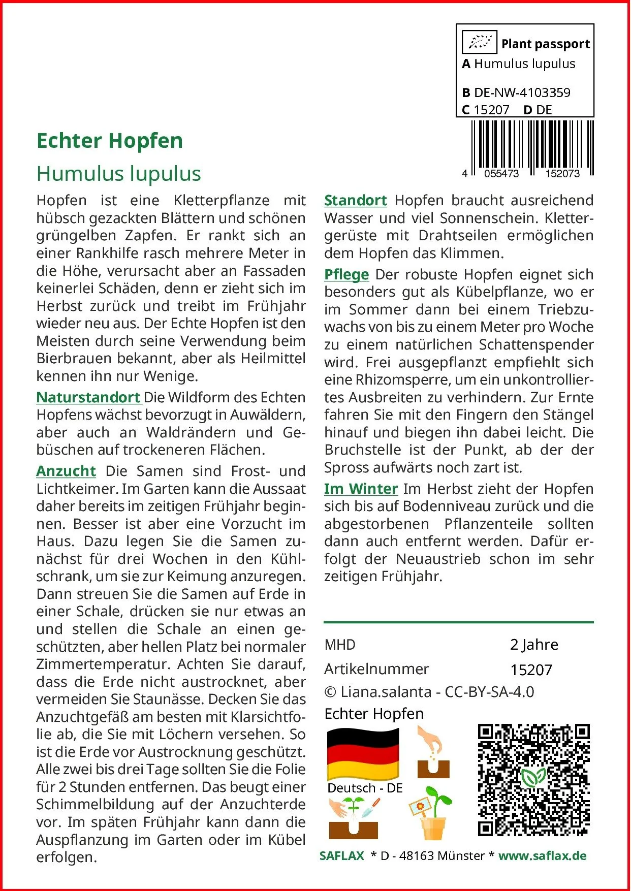 SAFLAX Blumensamen Echter Hopfen Kletterpflanze