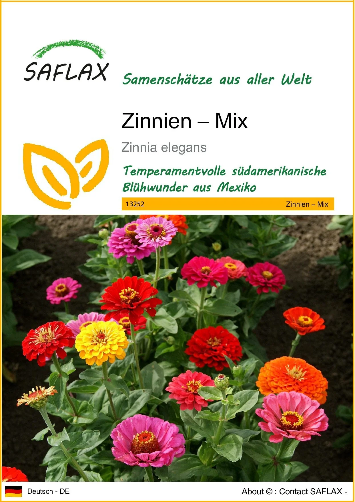 SAFLAX Zinnien Blumensamen Mix