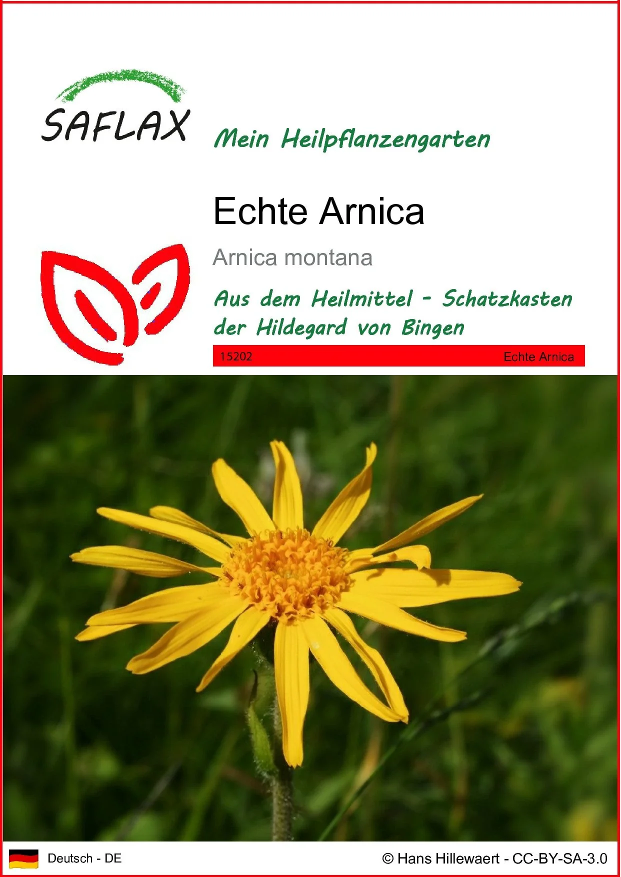 SAFLAX Echte Arnika Samen Arnica montana Blumensamen