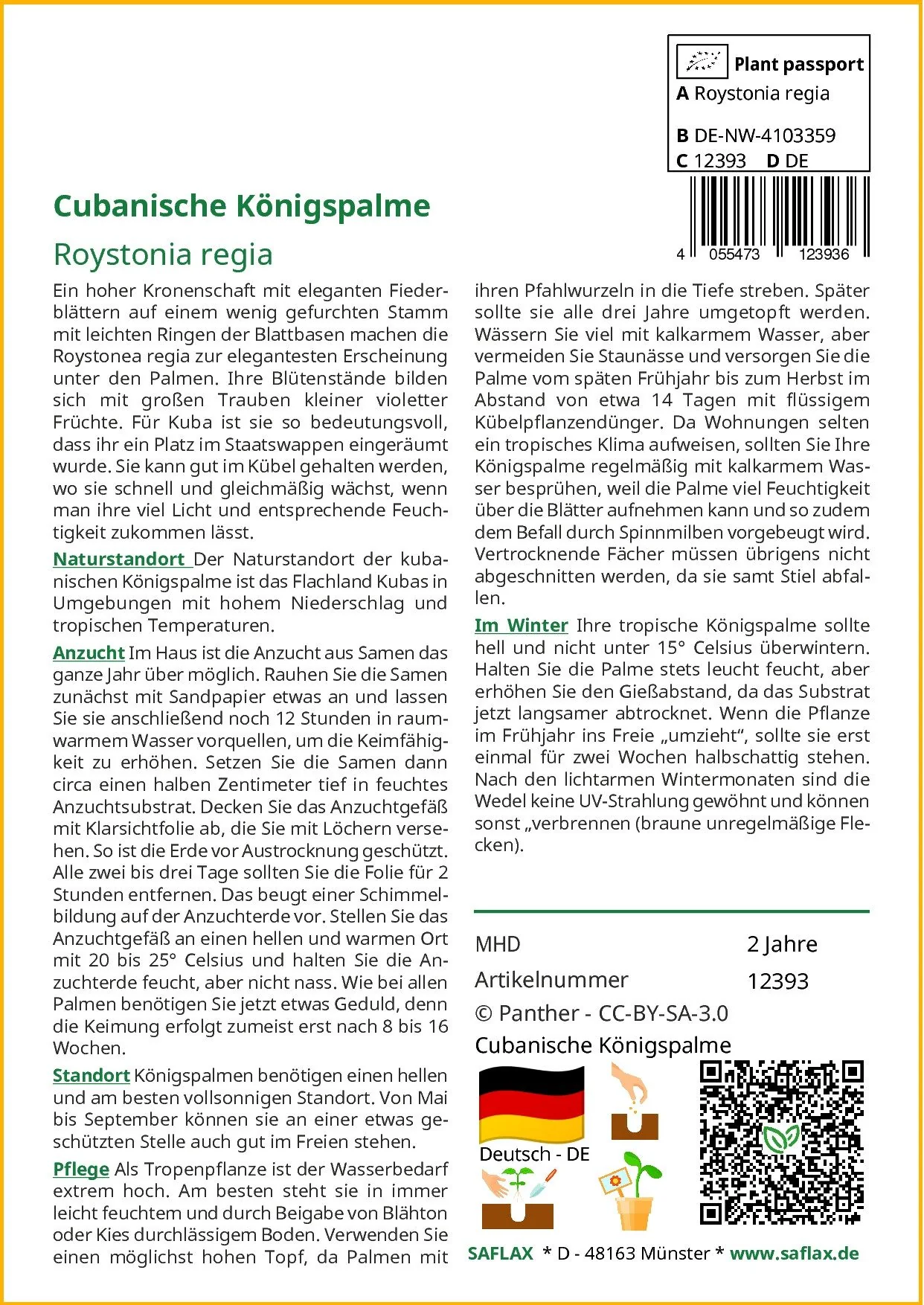 SAFLAX Blumensamen Cubanische Königspalme