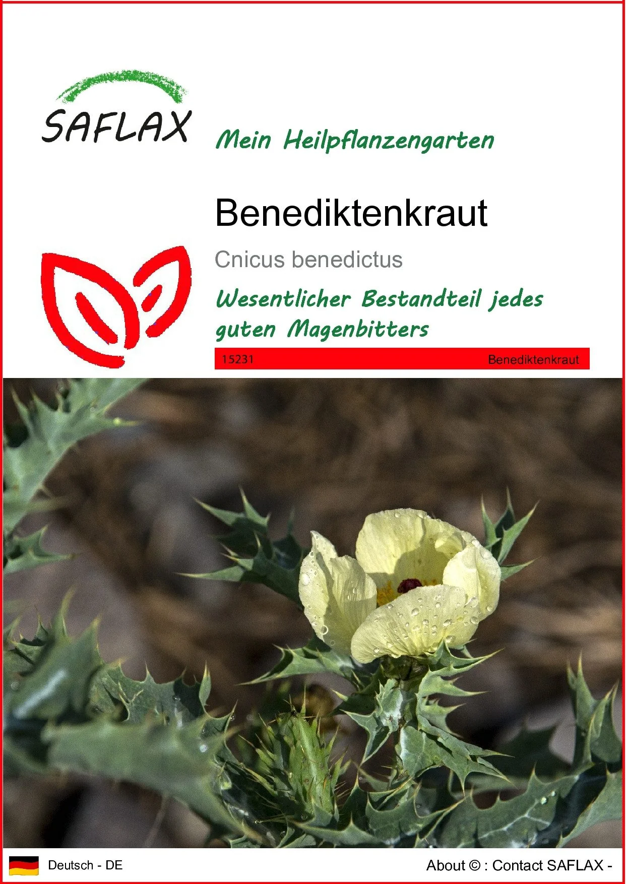 SAFLAX Benediktenkraut Samen Cnicus benedictus