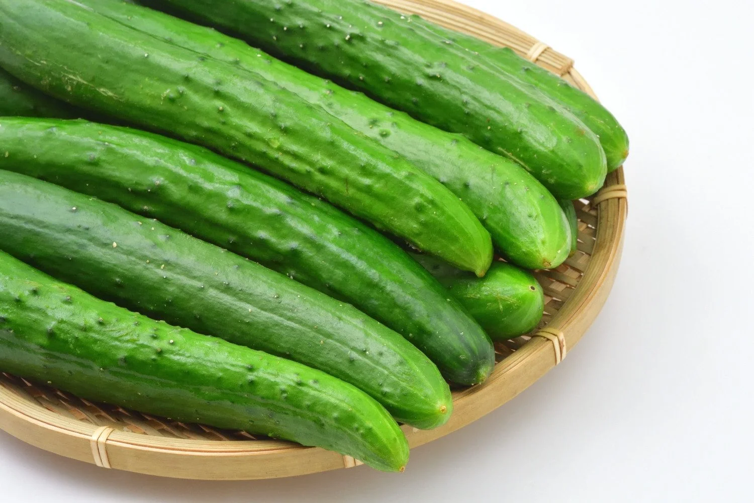 SAFLAX Bio Gurke Marketmore Gemüsesamen