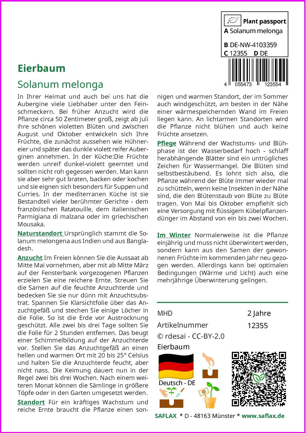 SAFLAX Eierbaum Gemüsesamen Solanum ovigerum