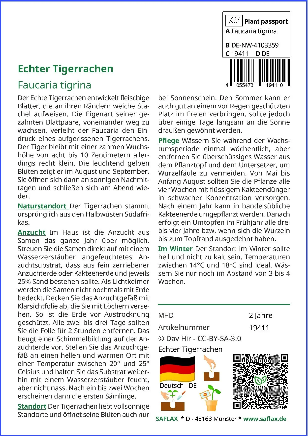 SAFLAX Blumensamen Echter Tigerrachen Saatgut