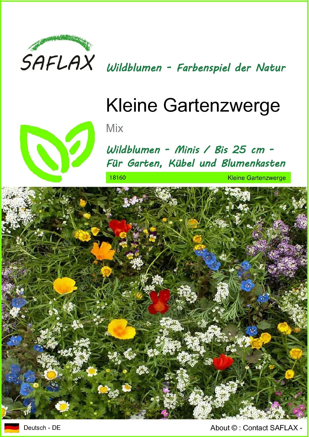 SAFLAX Blumensamen Kleine Gartenzwerge