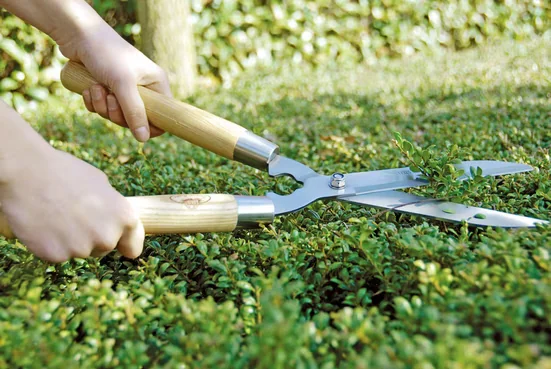 DEGAWO Gartenpflege Set Heckenschere Gartenschere 49 cm Edelstahl