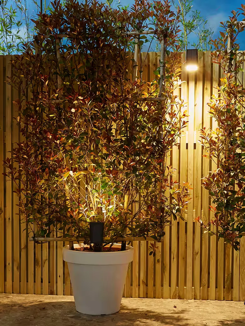 LUXFORM Rosario LED Solar Gartenstrahler Erdspießleuchte