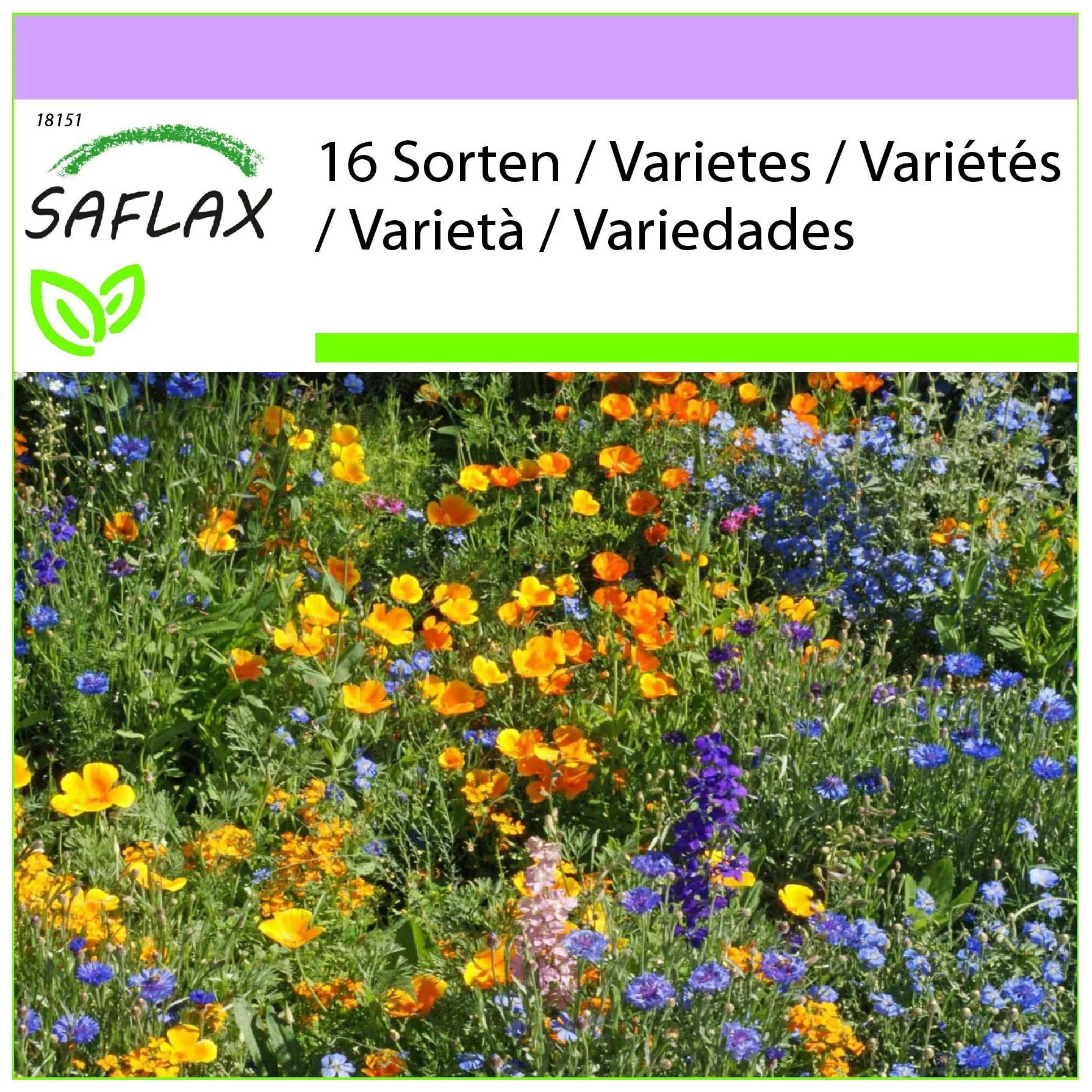 SAFLAX Blumensamen Bergwiesen Wildblumen Saatgut