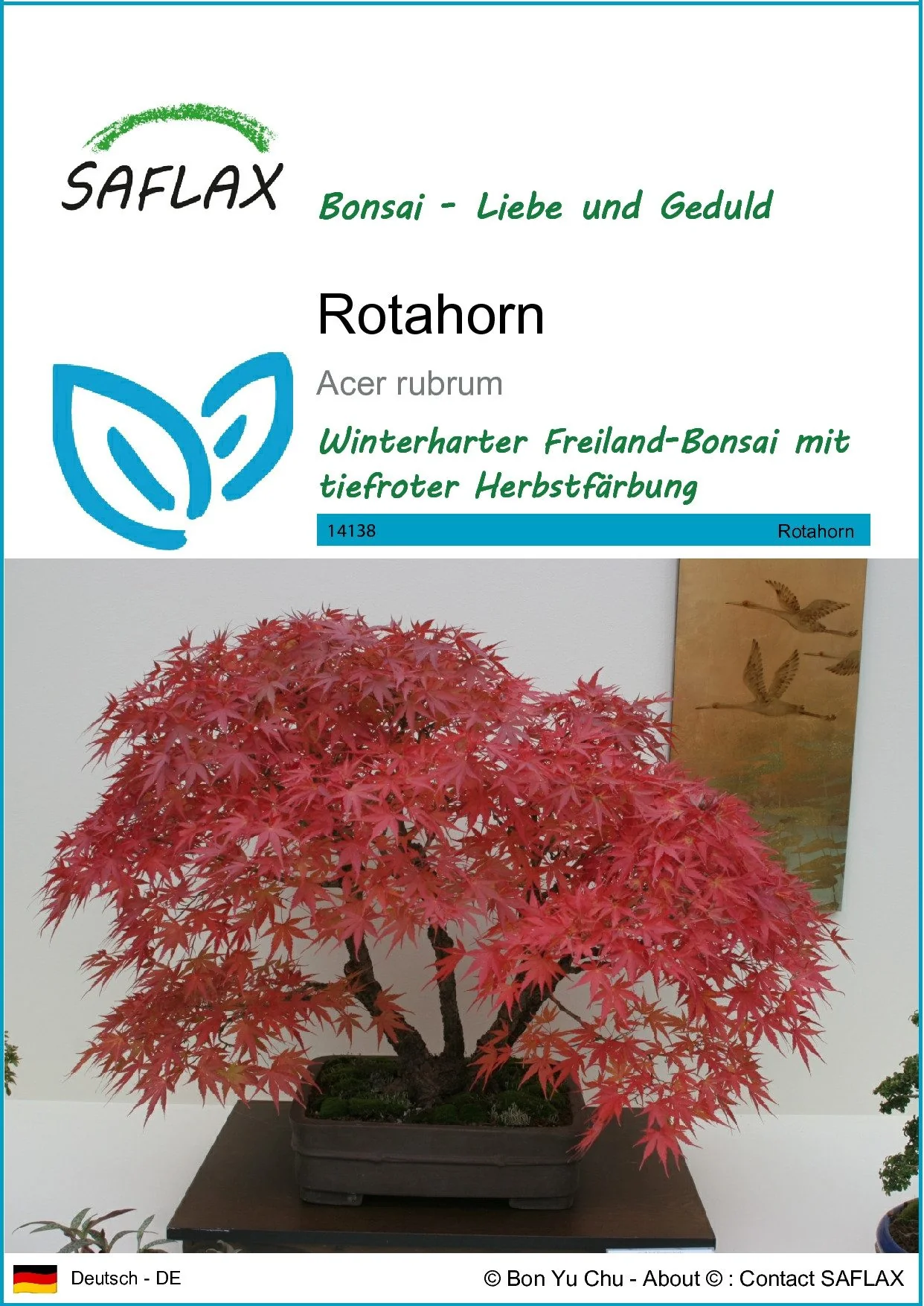 SAFLAX Rotahorn Samen
