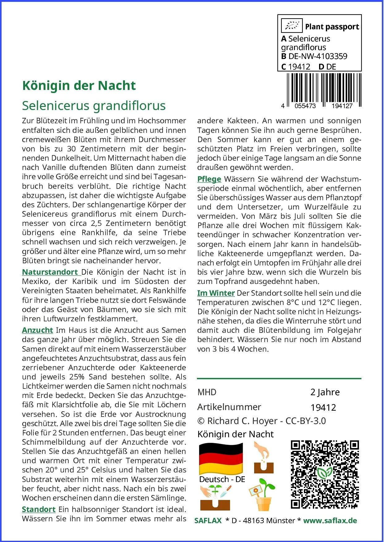 SAFLAX Blumensamen Königin der Nacht