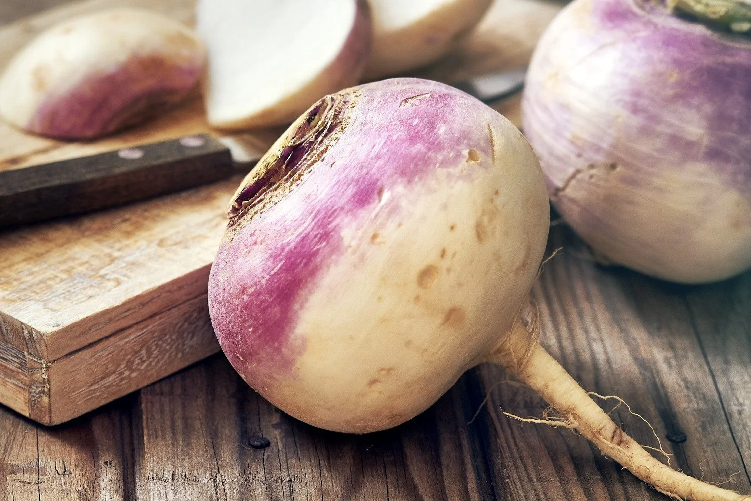 SAFLAX Bio Kohlrabi Milan Purple Samen