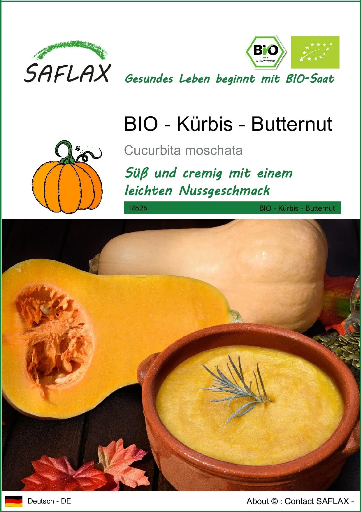 SAFLAX Bio Butternut-Kürbis Gemüsesamen