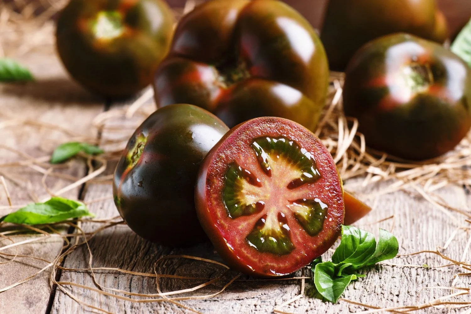 SAFLAX Bio Tomatensamen Black Cherry Cherrytomate