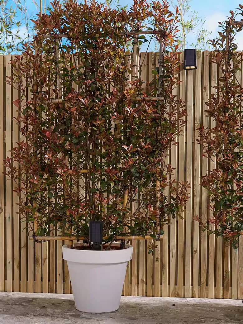 LUXFORM Rosario LED Solar Gartenstrahler Erdspießleuchte