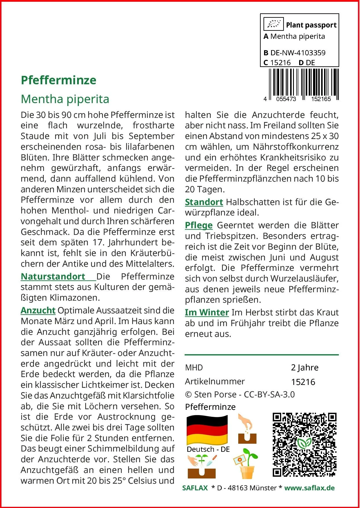 SAFLAX Pfefferminze Saatgut Kräutersamen