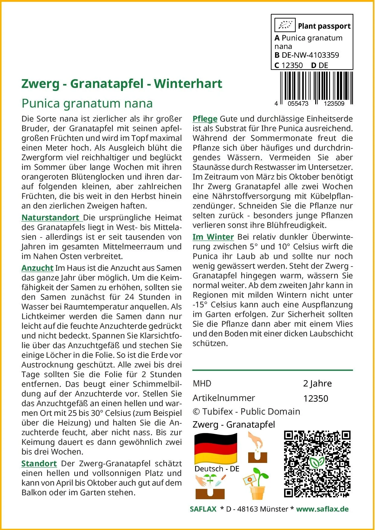 SAFLAX Zwerggranatapfel Samen Punica granatum nana