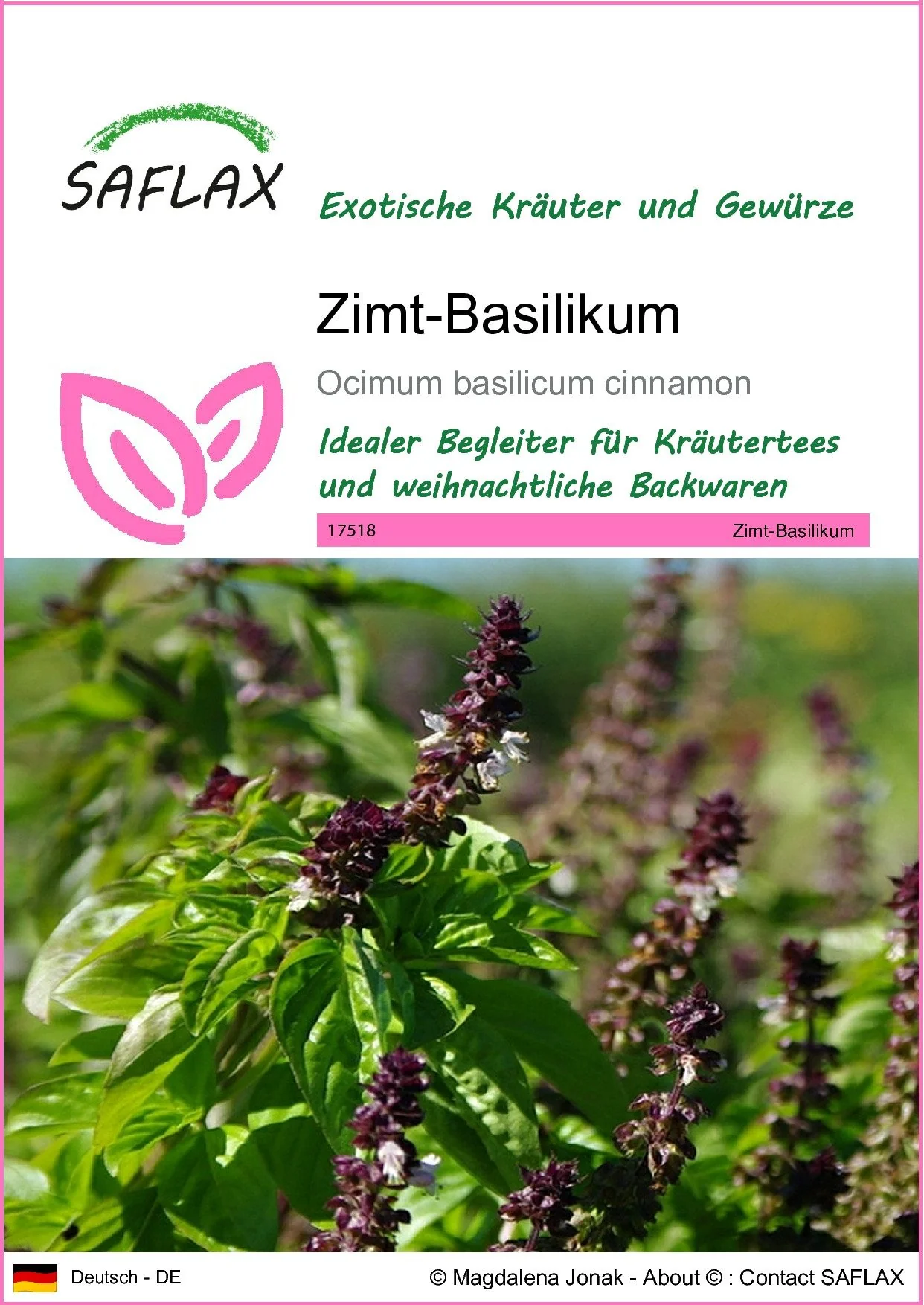 SAFLAX Zimt-Basilikum Kräutersamen