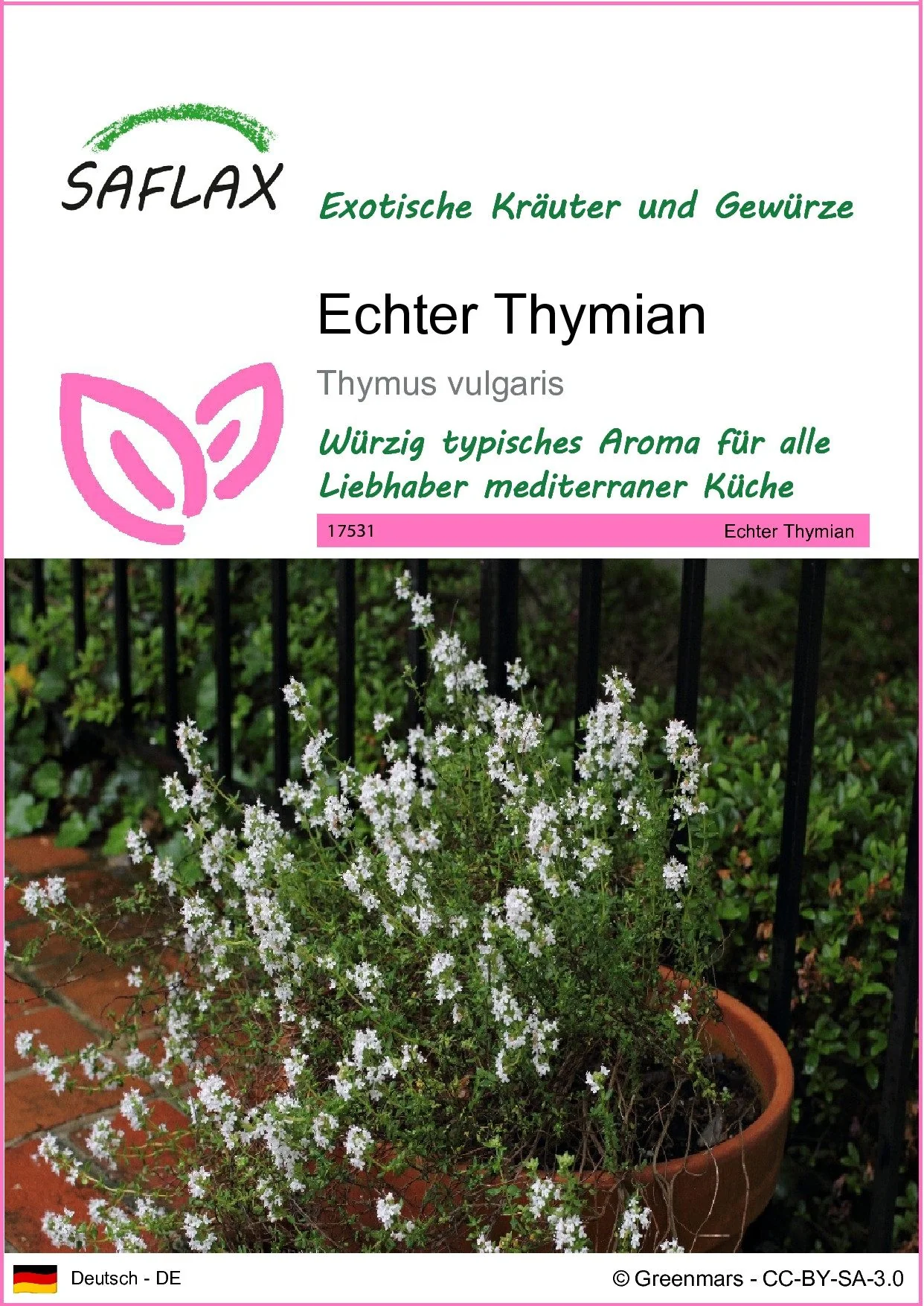 SAFLAX Echter Thymian Kräutersamen
