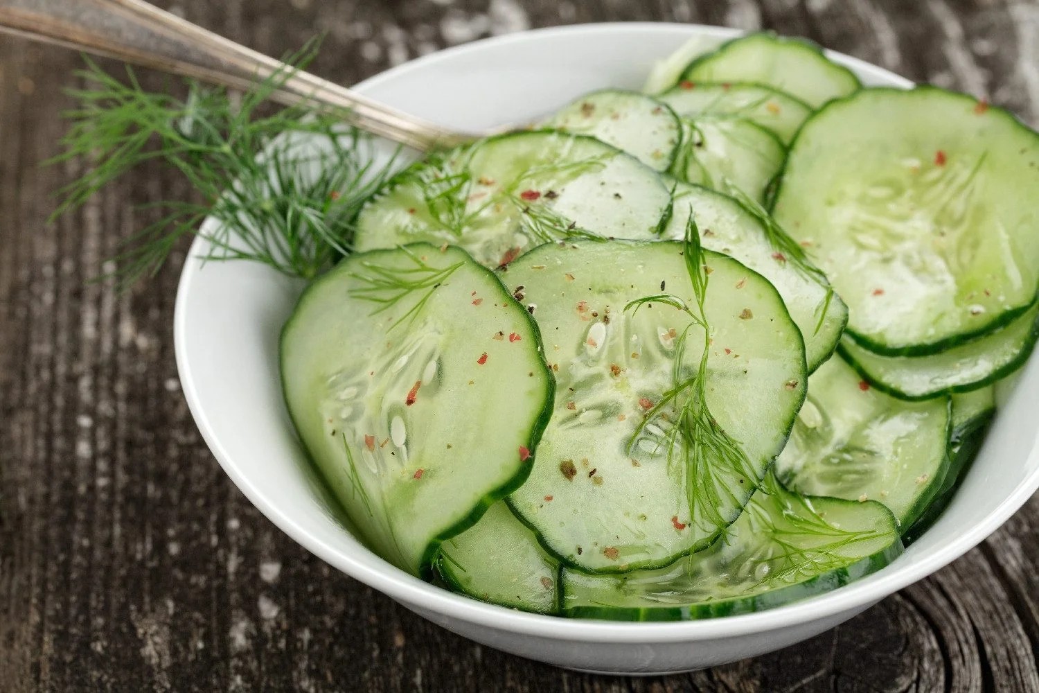 SAFLAX Bio Gurke Marketmore Gemüsesamen