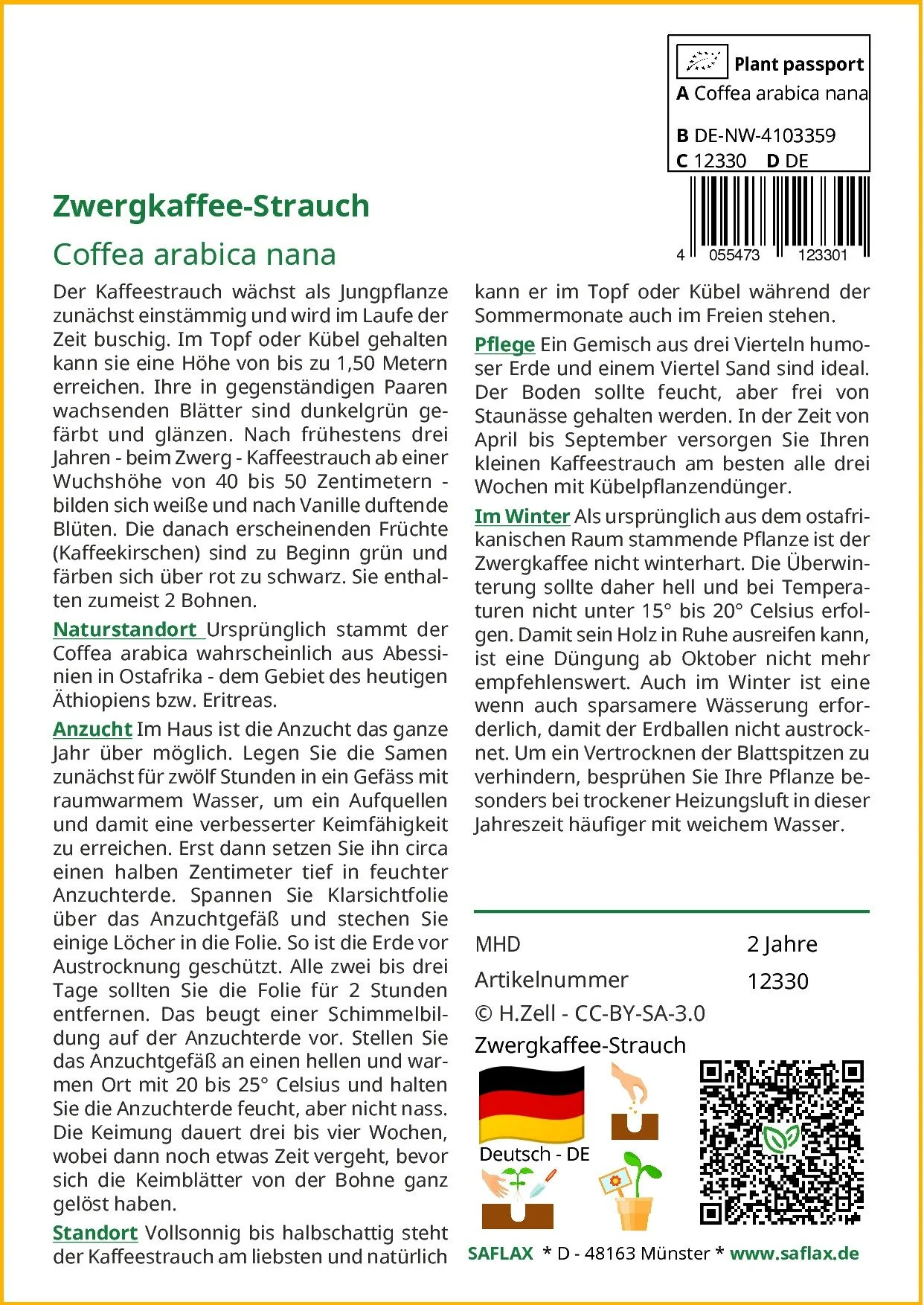 SAFLAX Zwergkaffee-Strauch Samen Zimmerpflanze