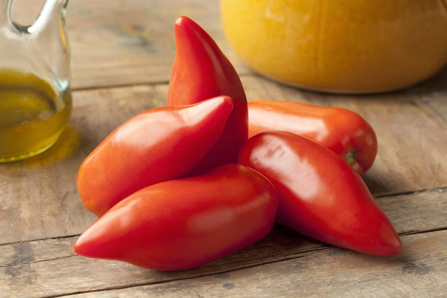 SAFLAX Tomatensamen Andenhorn Cornue des Andes
