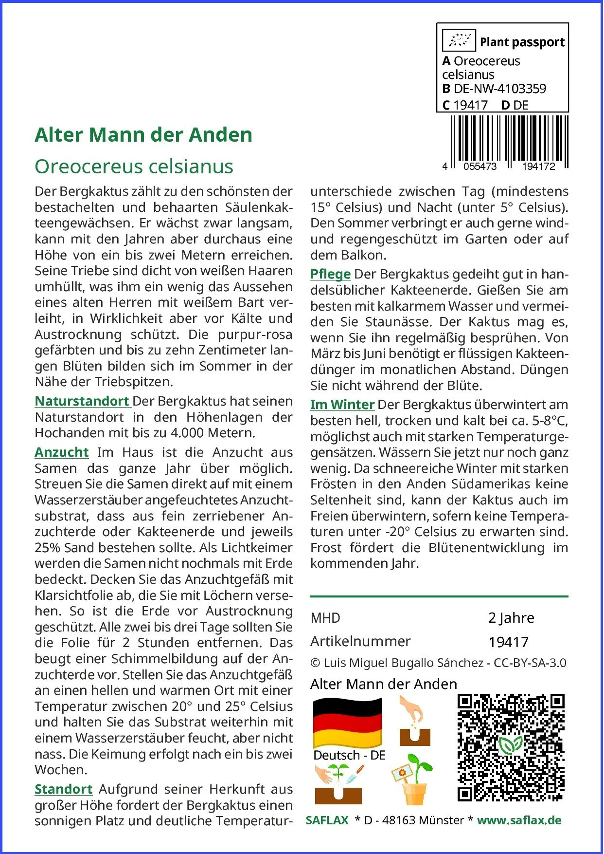 SAFLAX Blumensamen Alter Mann der Anden