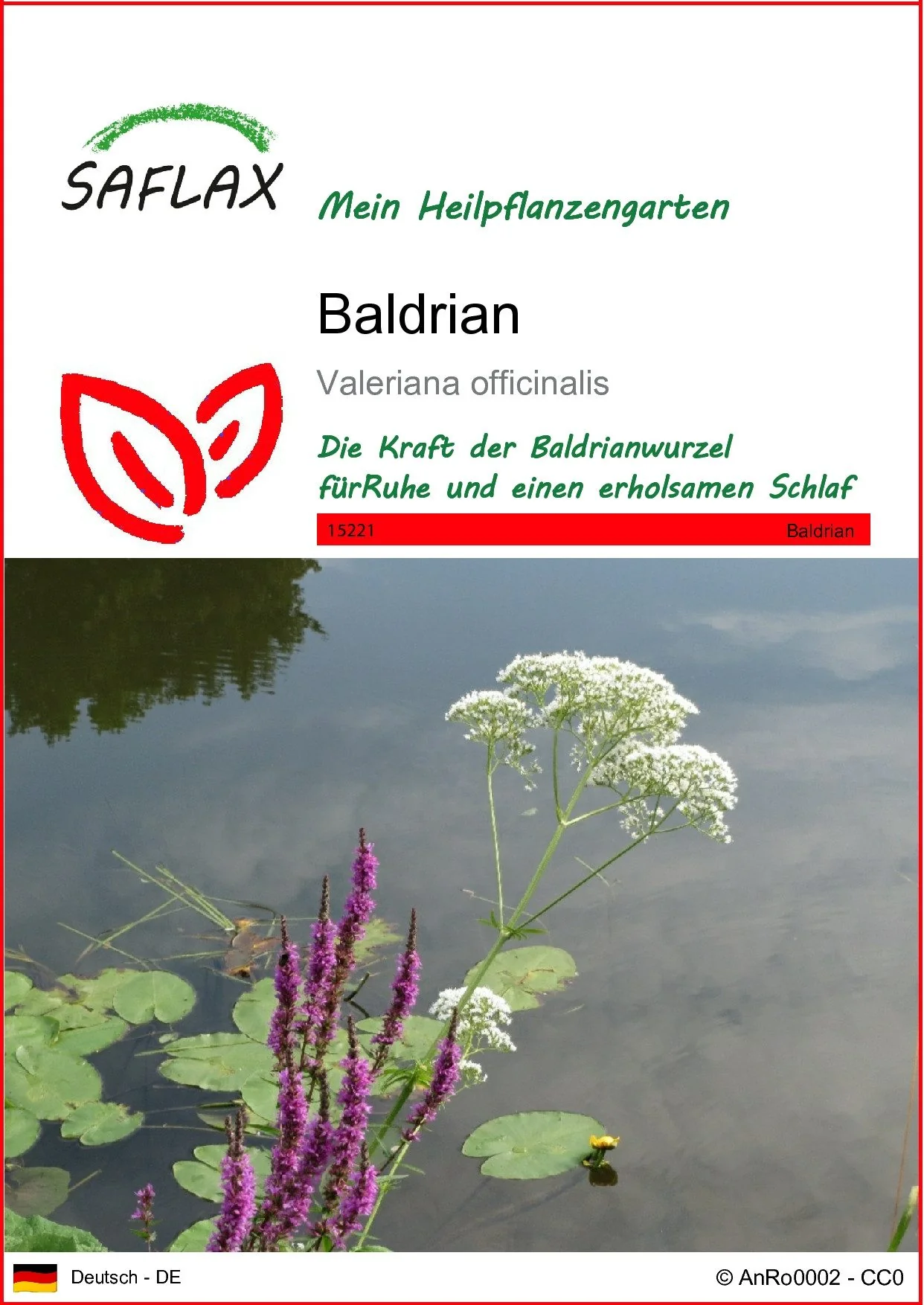 SAFLAX Baldrian Blumensamen