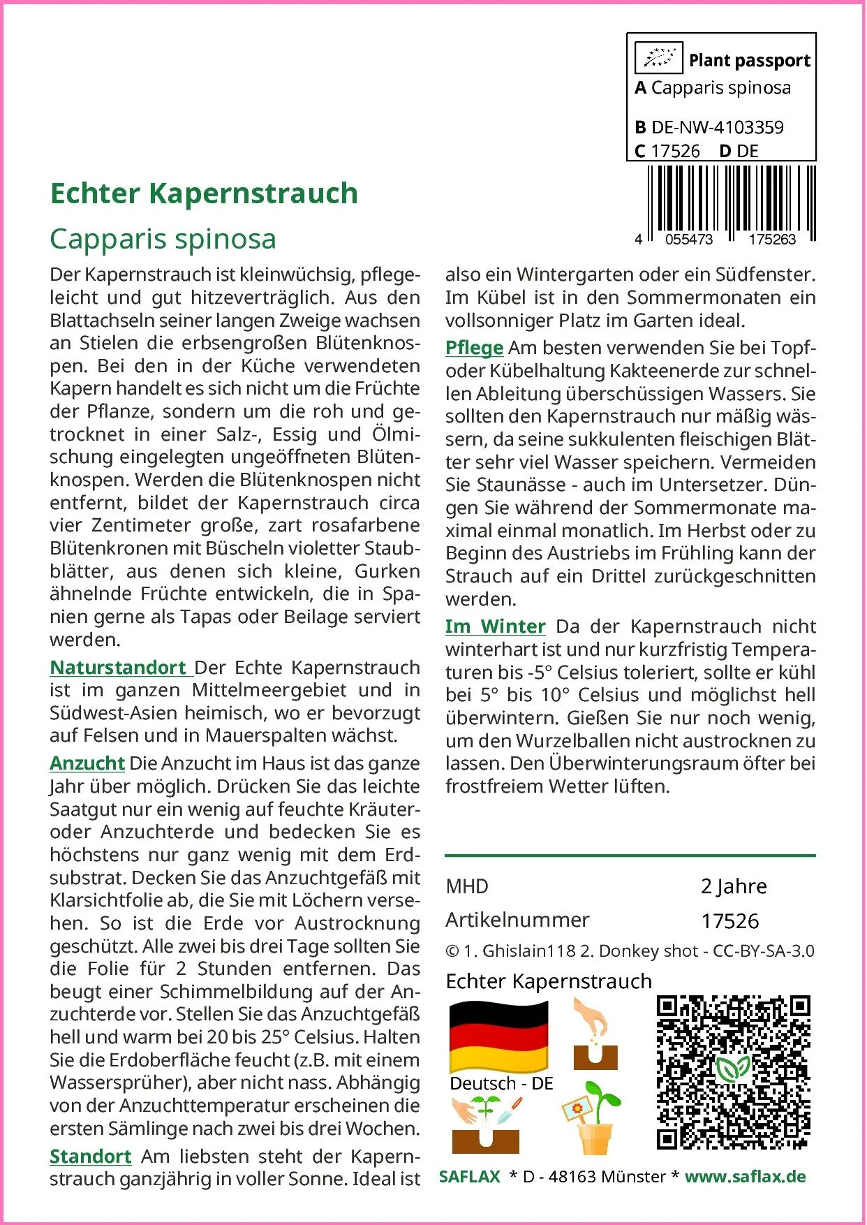 SAFLAX Kräutersamen Echter Kapernstrauch Saatgut