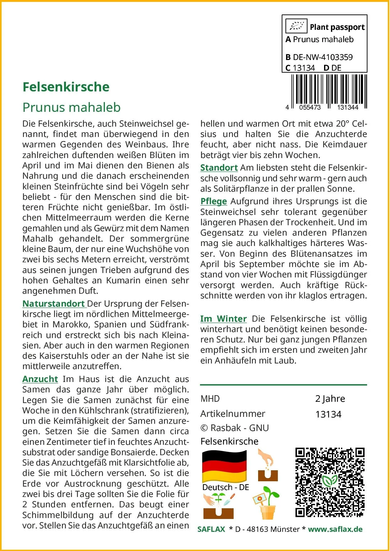 SAFLAX Blumensamen Felsenkirsche