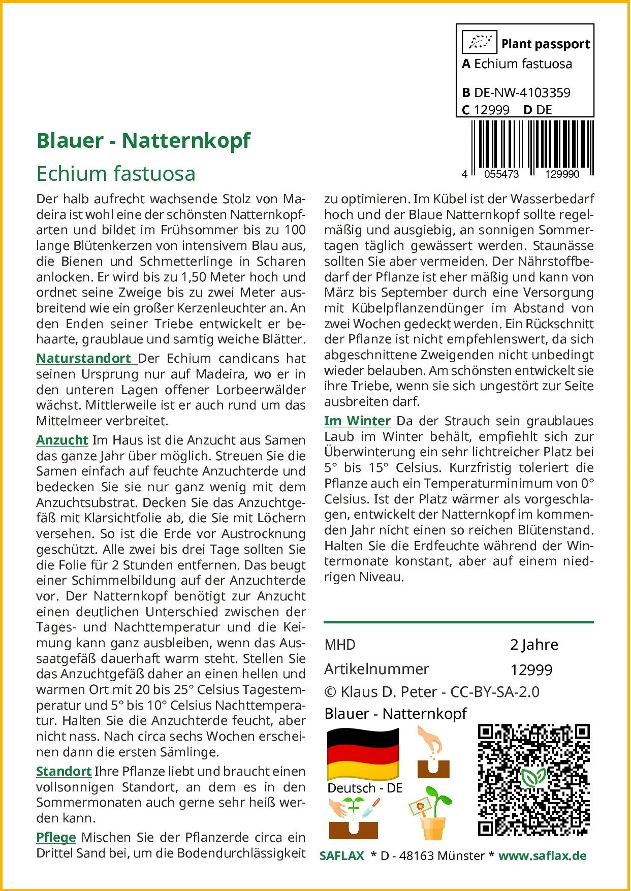 SAFLAX Blauer Natternkopf Samen Echium vulgare