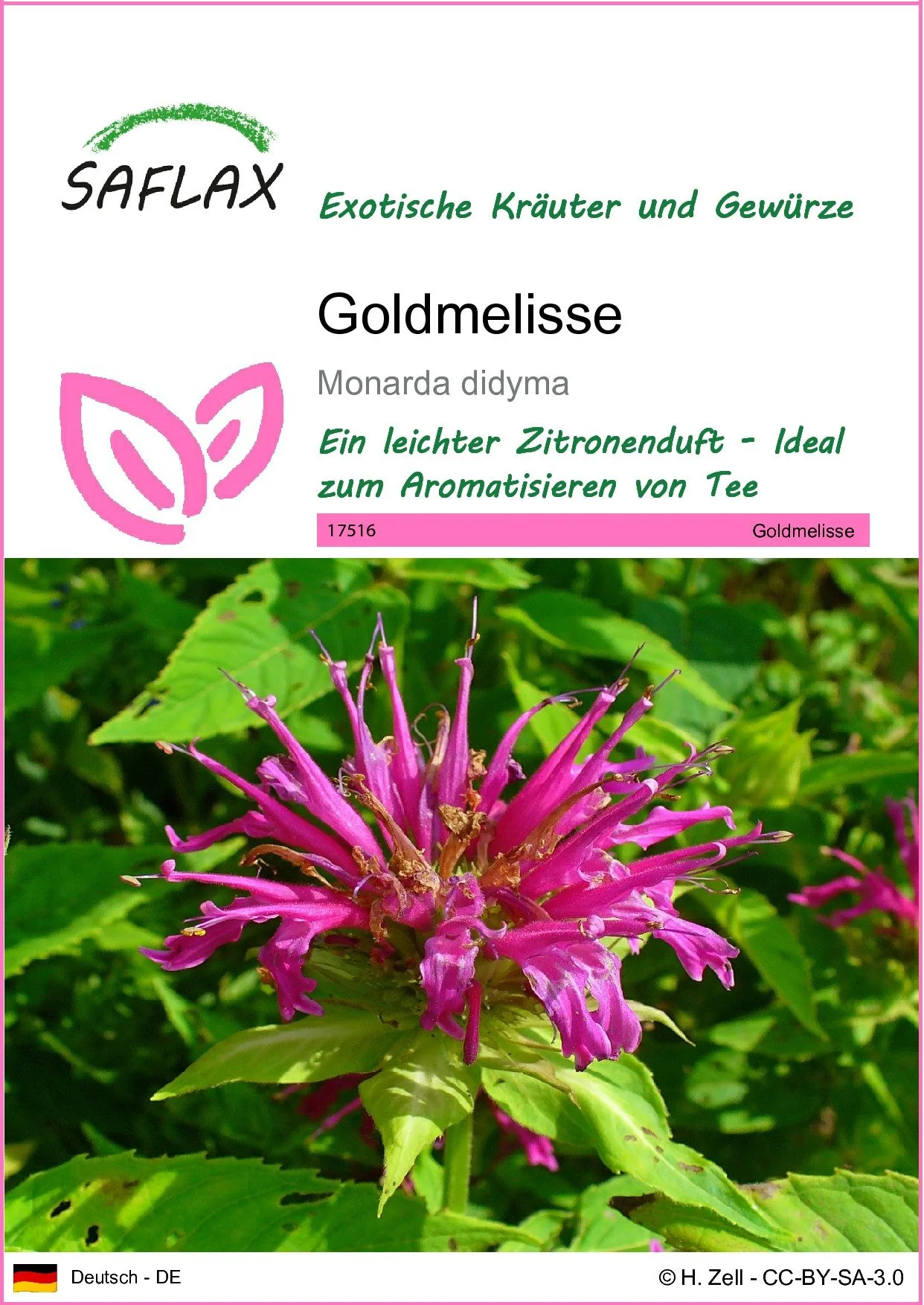SAFLAX Goldmelisse Kräutersamen