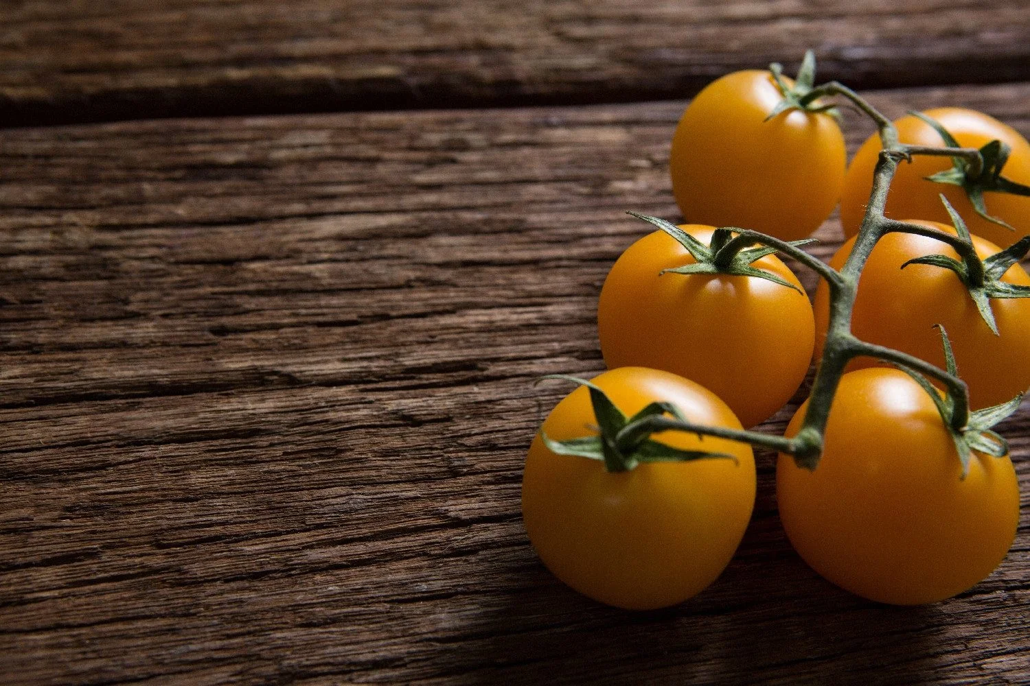 SAFLAX Bio Tomatensamen Golden Queen