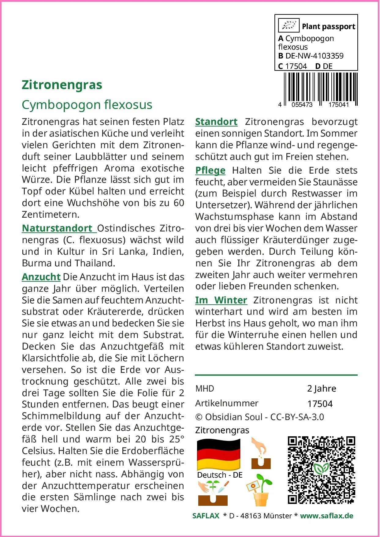 SAFLAX Zitronengras Samen Kräutersamen für Anzucht