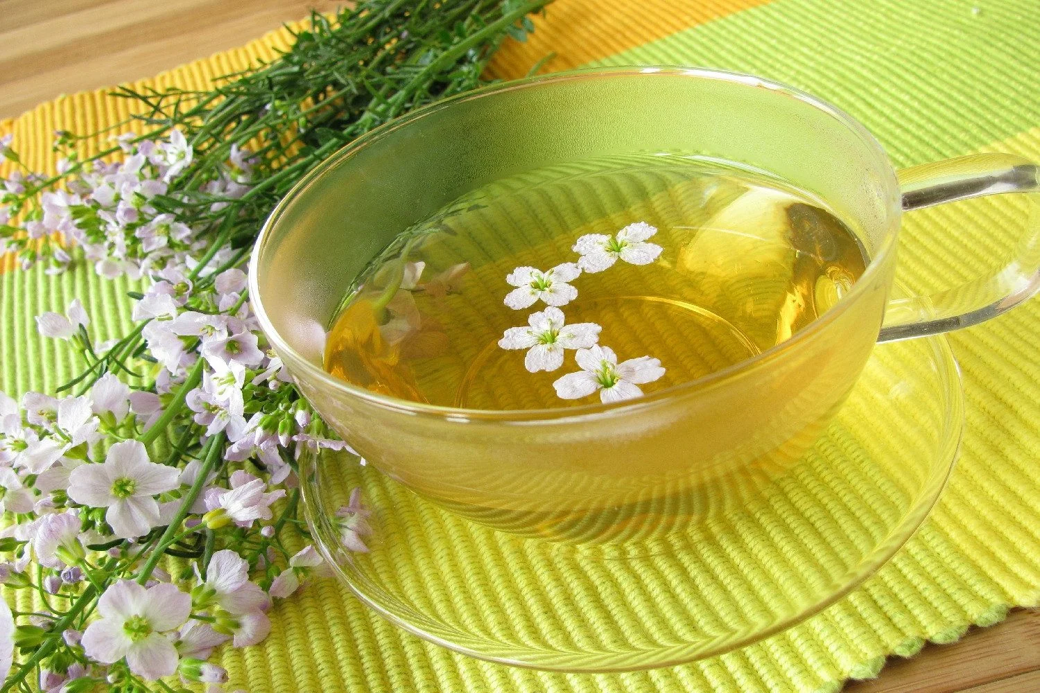 SAFLAX Wiesenschaumkraut Blumensamen