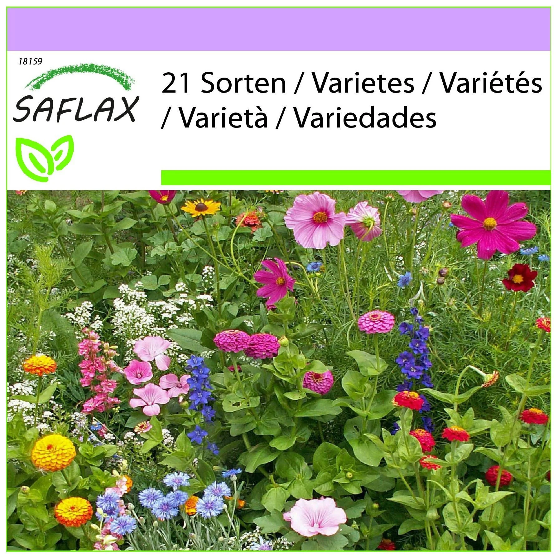 SAFLAX Blumensamen Cottage Garden Blumenmischung