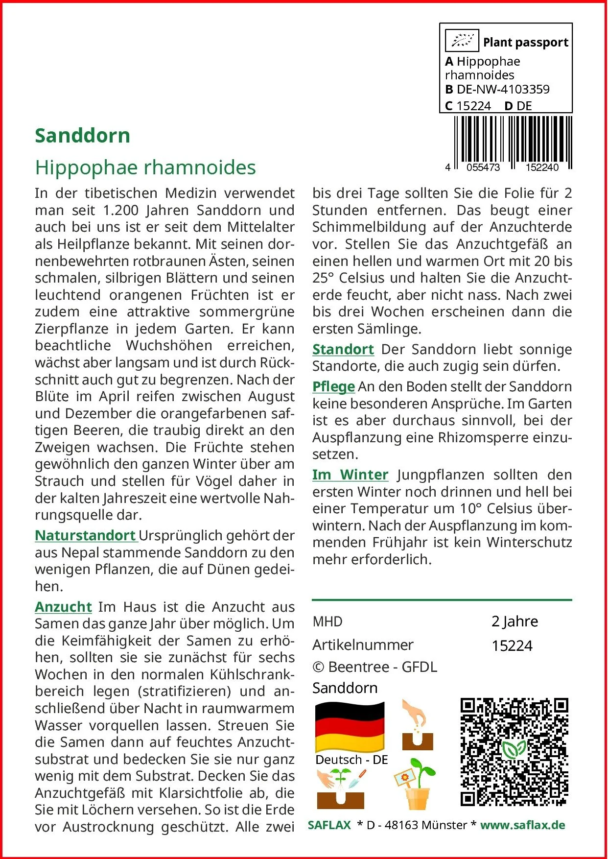 SAFLAX Sanddorn Samen Hippophae rhamnoides Saatgut