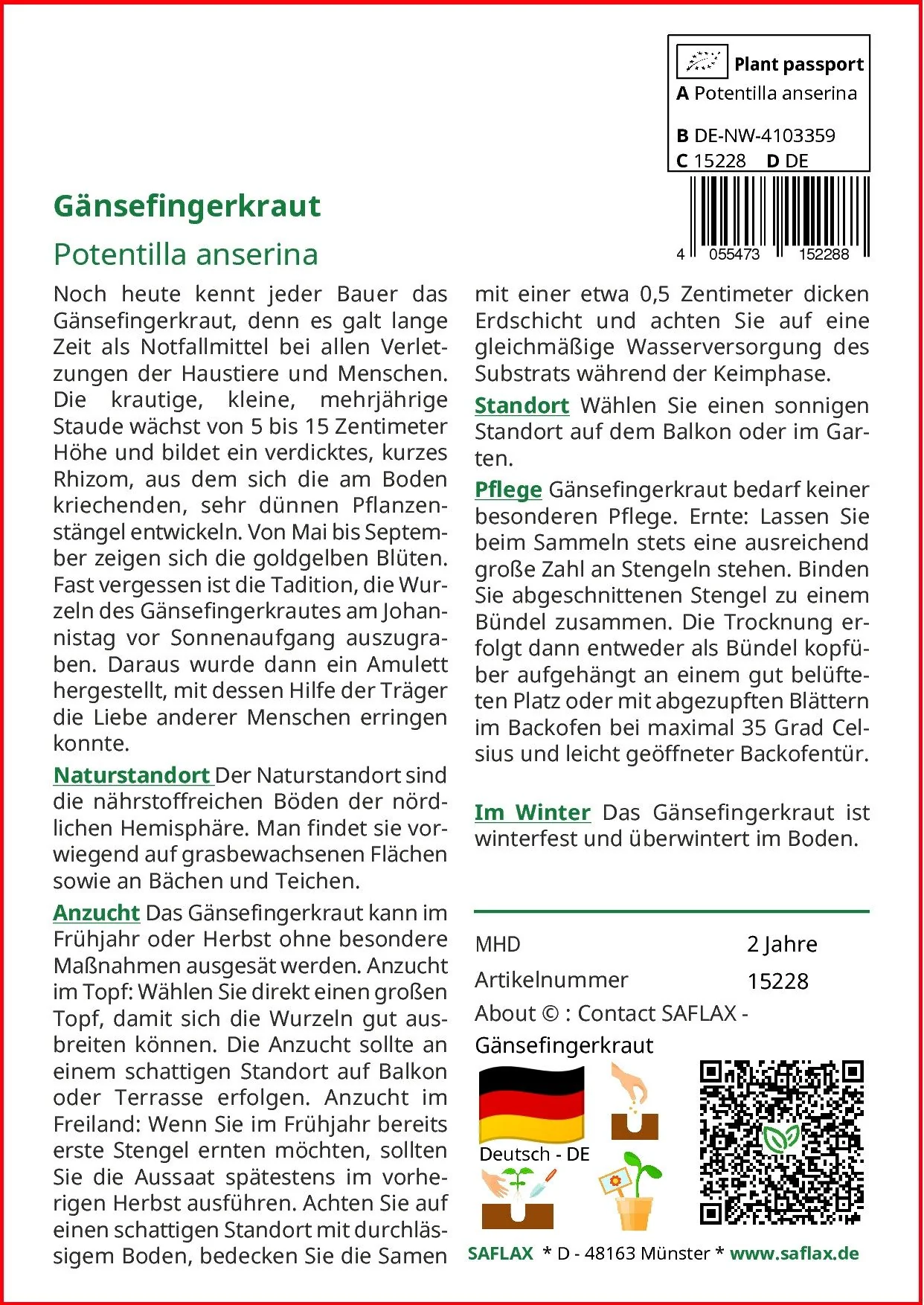 SAFLAX Gänsefingerkraut Blumensamen
